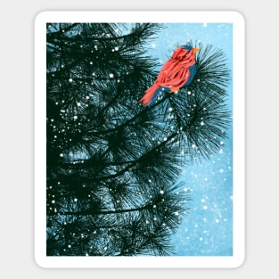 bird in pine tree Sticker